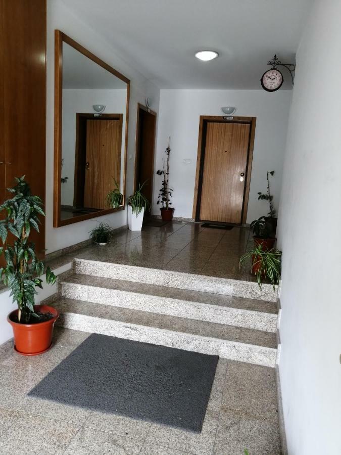 Congidouro Apartment Freixo de Espada a Cinta Bagian luar foto